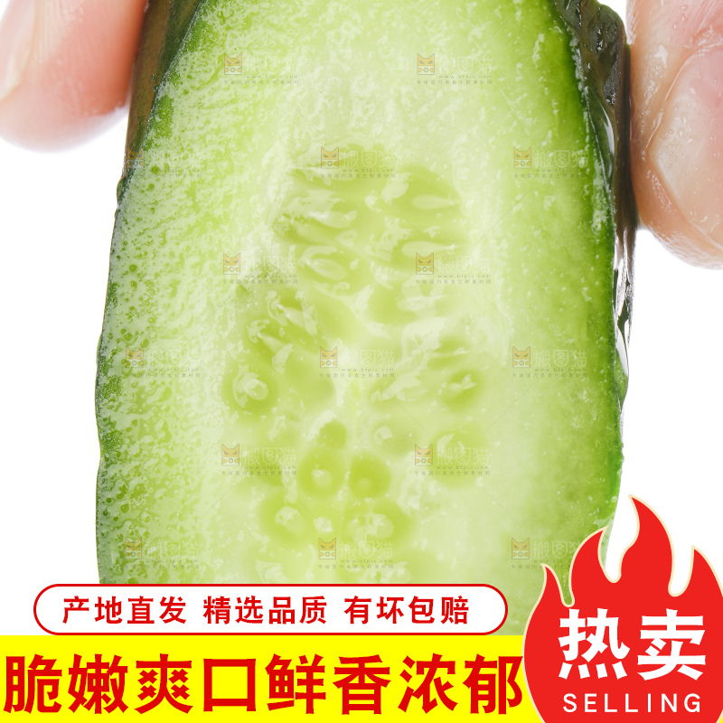 手里拿着嫩黄瓜