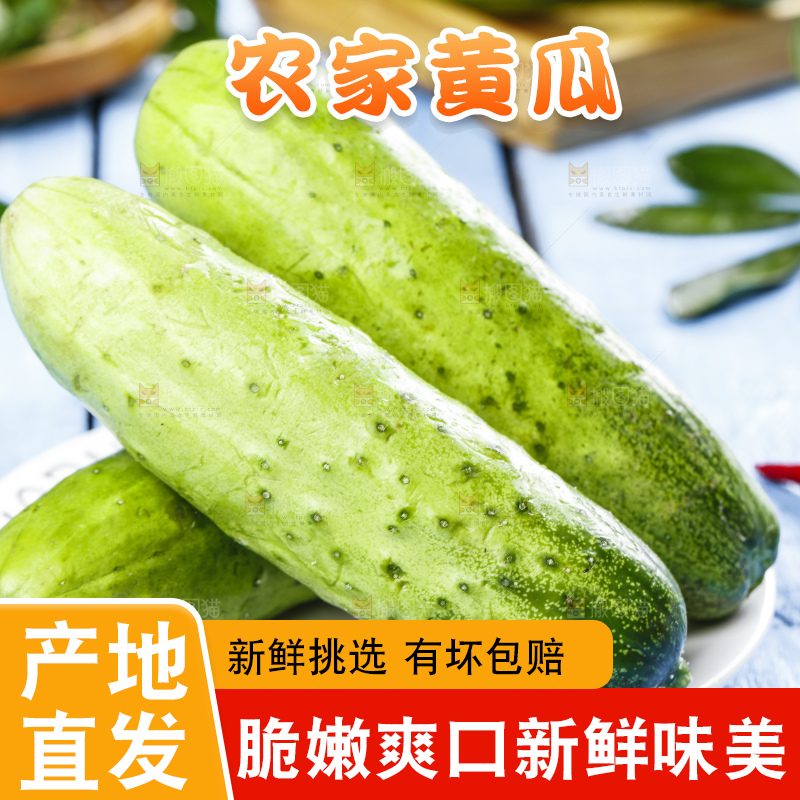 碟子里放着新鲜黄瓜