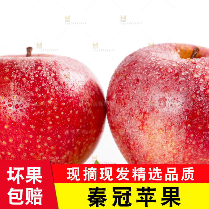 白底上摆放着秦冠苹果