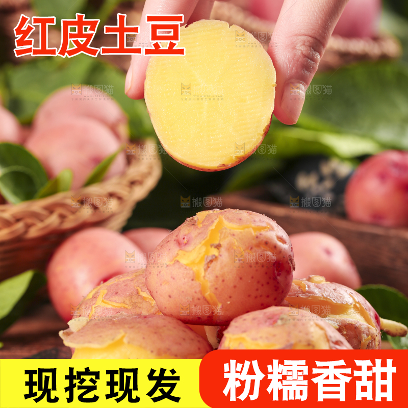 树叶上摆放着土豆