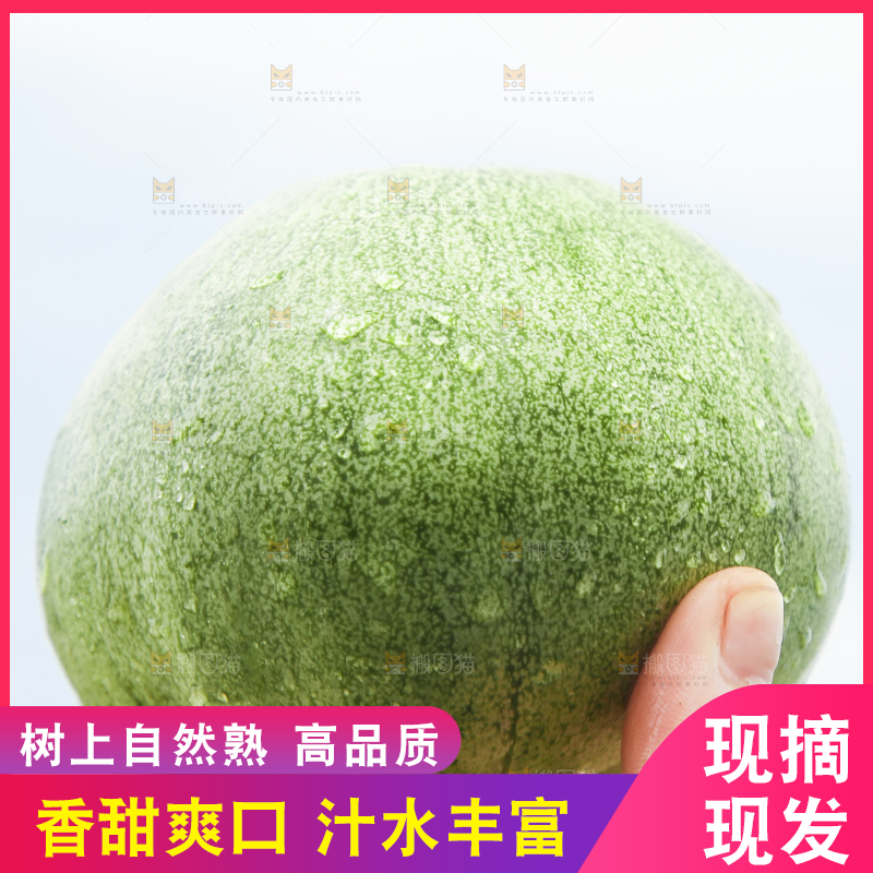 手里拿着绿宝石甜瓜