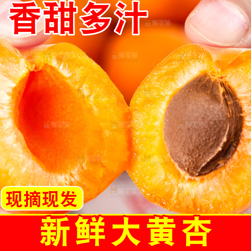 手里拿着黄杏