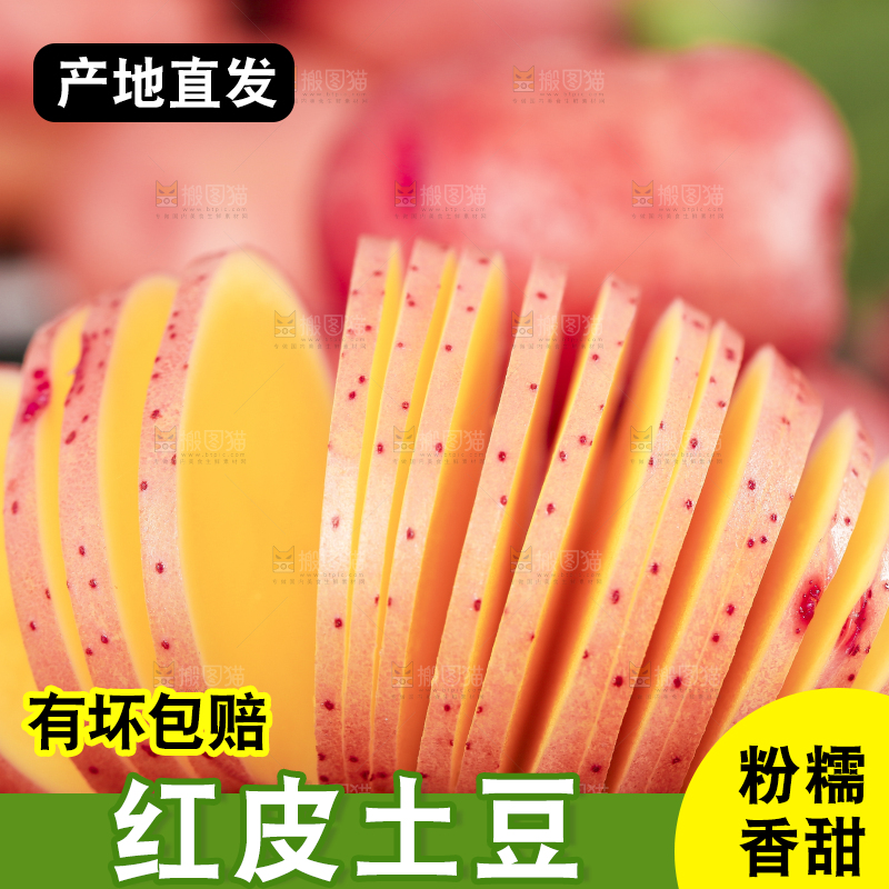 手里拿着红皮土豆