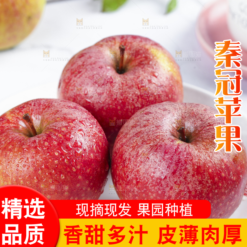 浅底上摆放着秦冠苹果