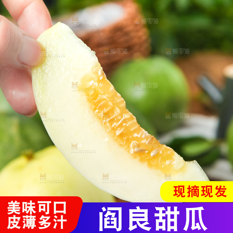 手里拿着阎良甜瓜