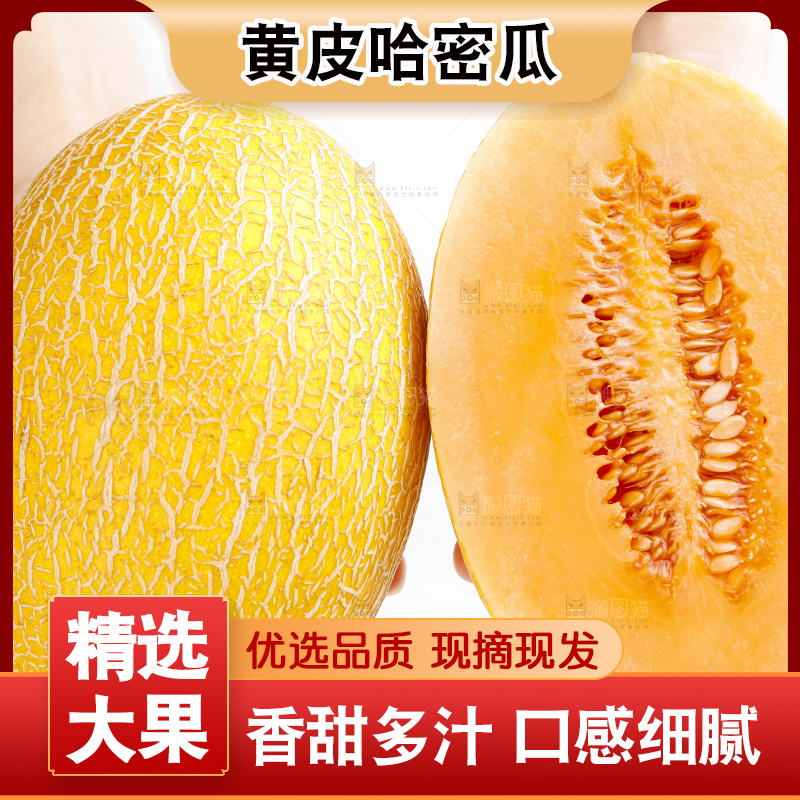手里拿着新疆黄皮哈密瓜