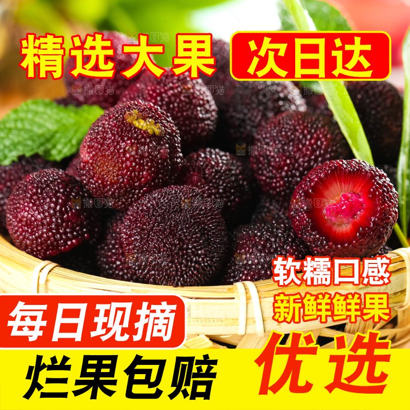 篮子里装着东魁杨梅