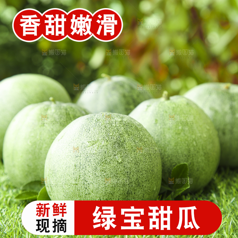 草地上放着绿皮甜瓜