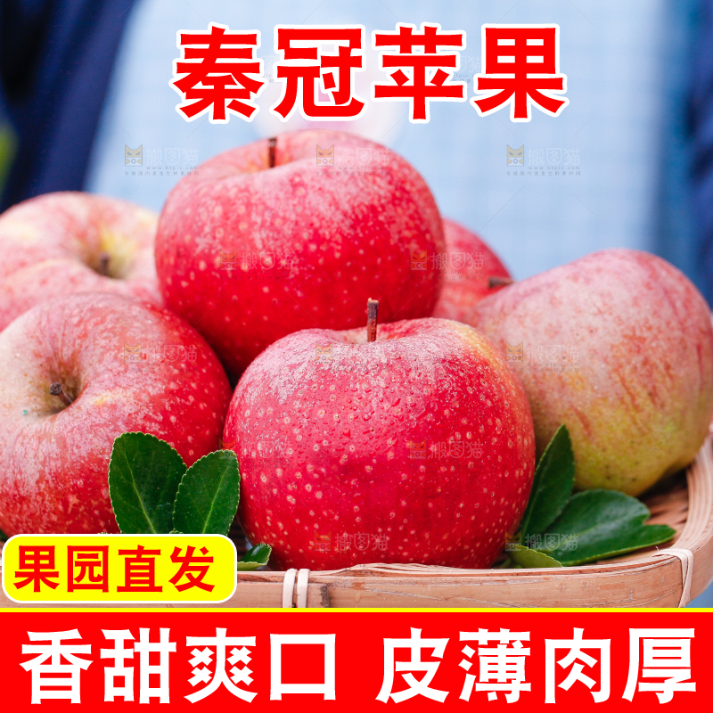 手里拿着秦冠苹果