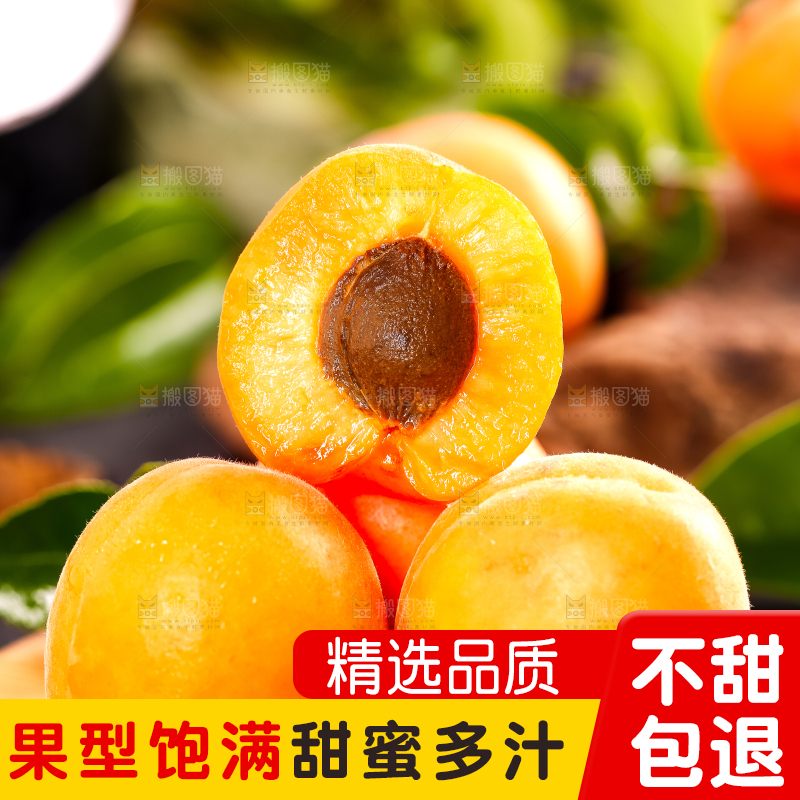 木底上摆放着烟台杏子