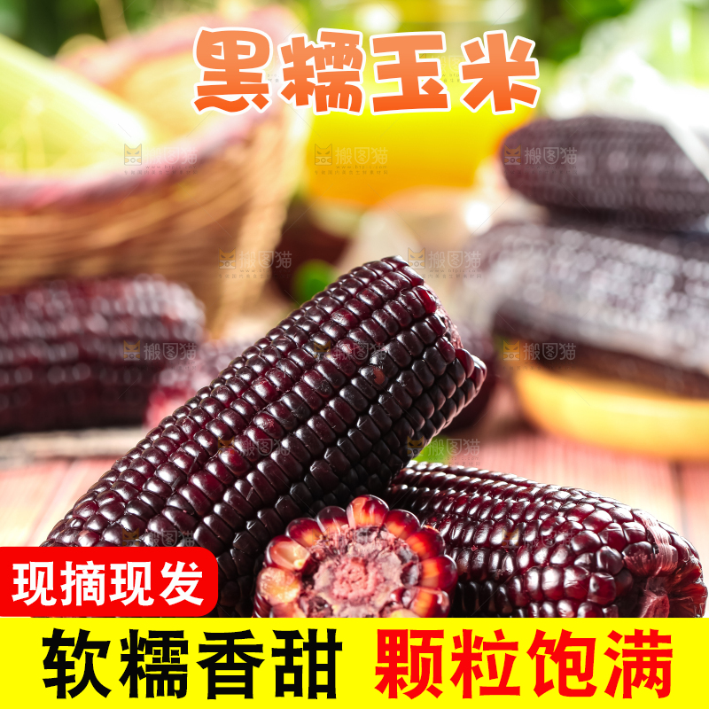 木板上放着紫玉米