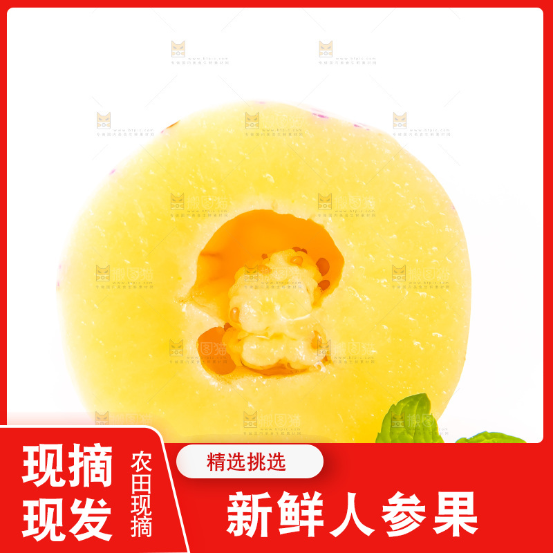 白底上摆放着香瓜茄