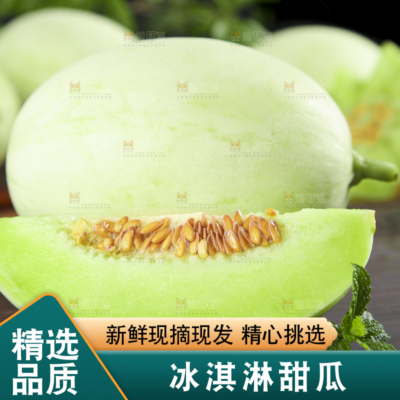 深底上摆放着山东玉菇甜瓜