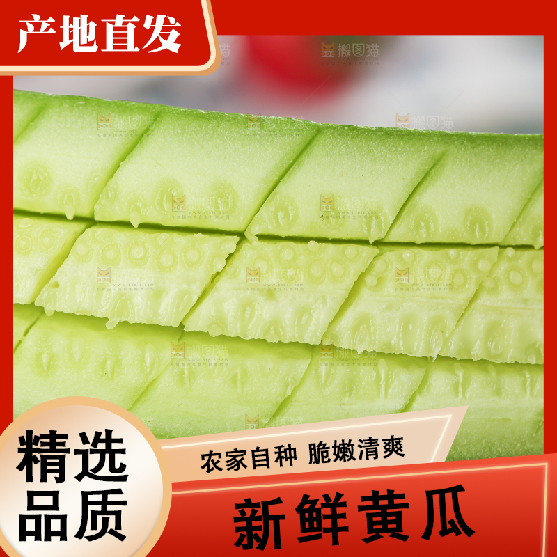 白底上放着无刺小黄瓜