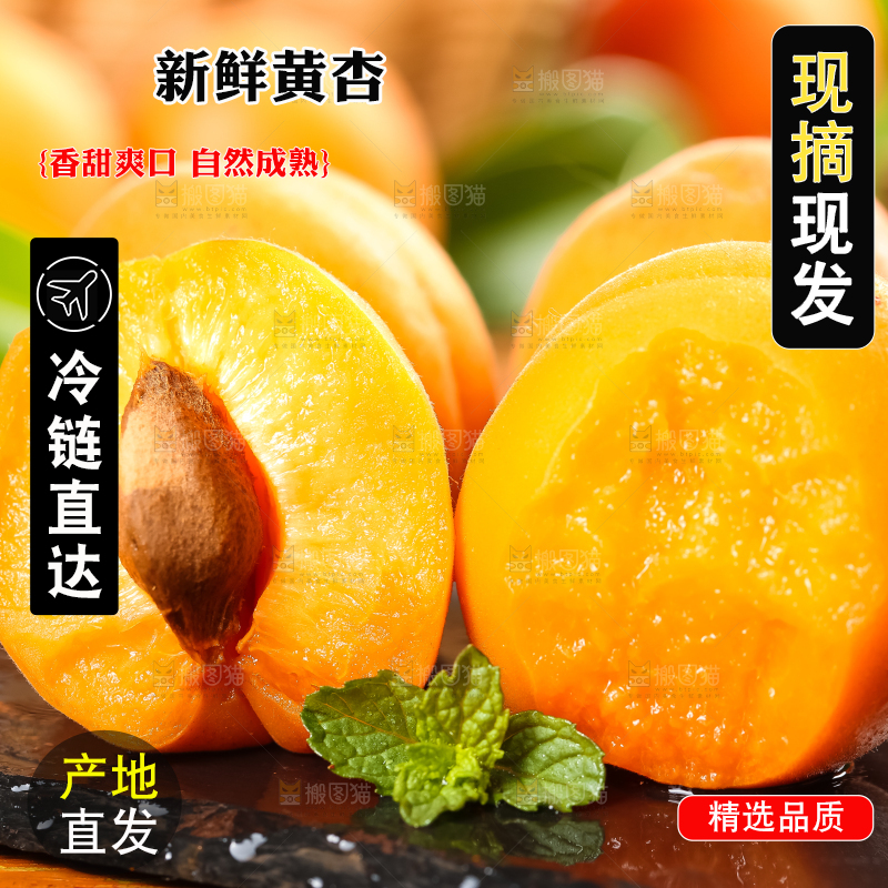 黑底上放着黄杏