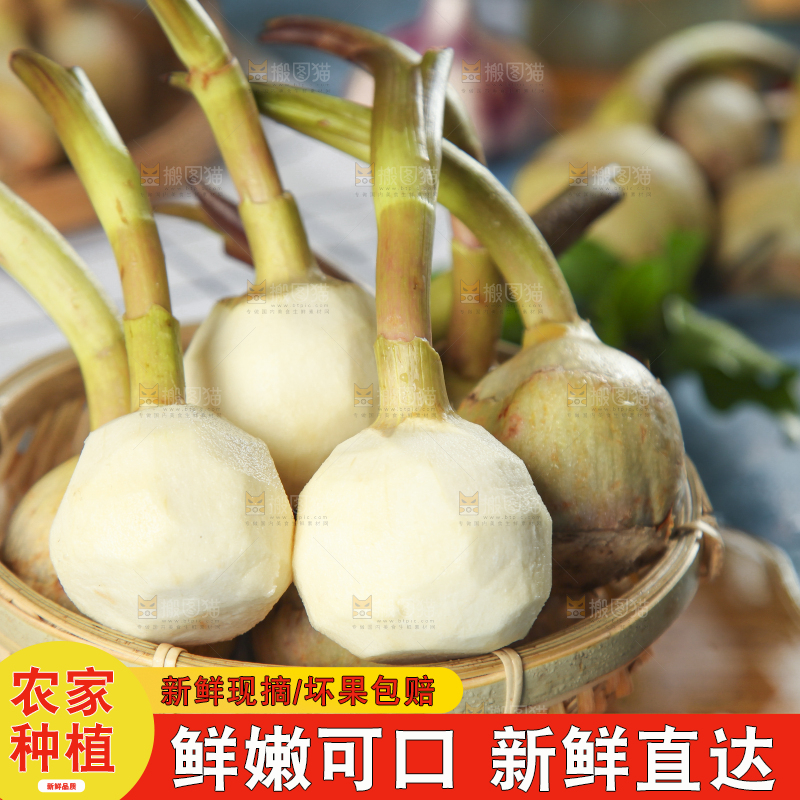 盘子里装着慈菇