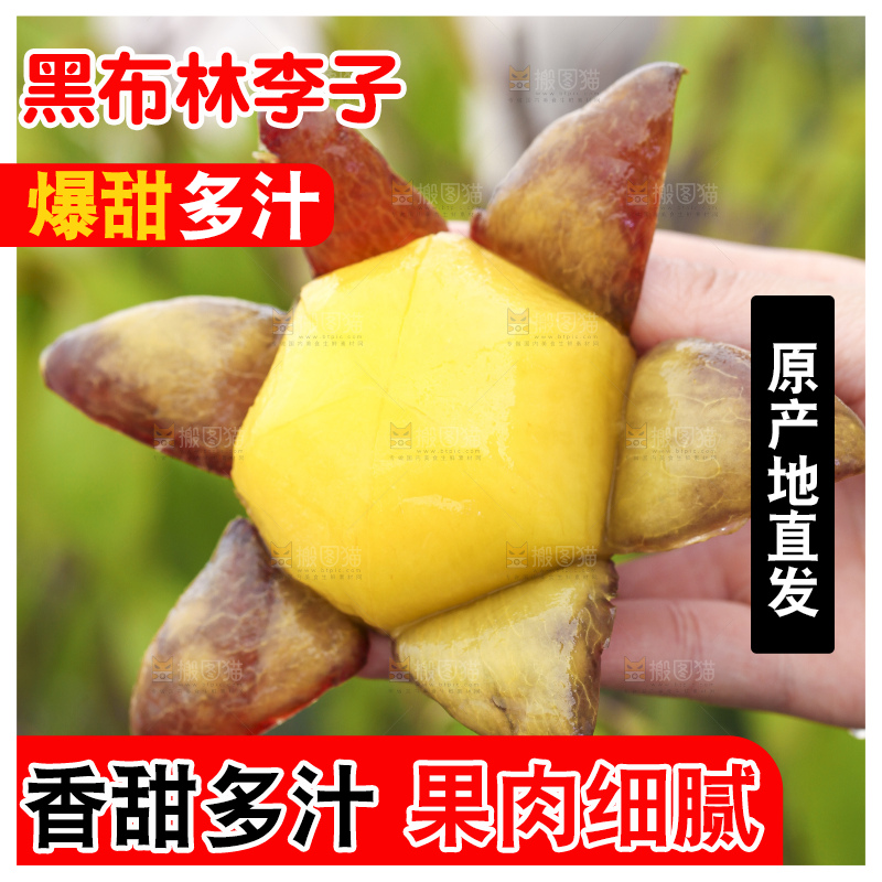 手里拿着黑布林
