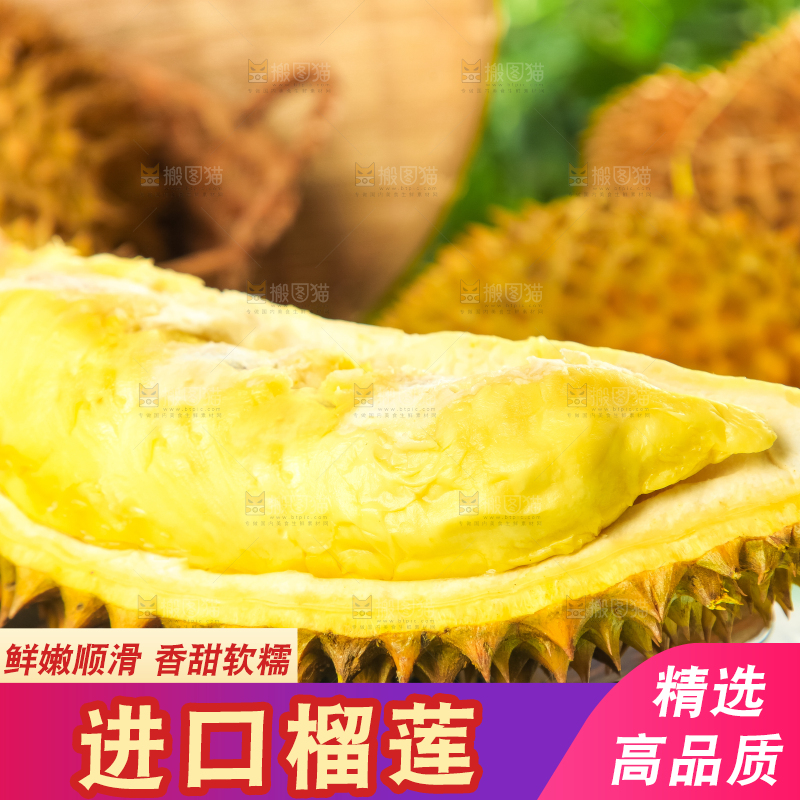 格子底上摆放着金枕头榴莲