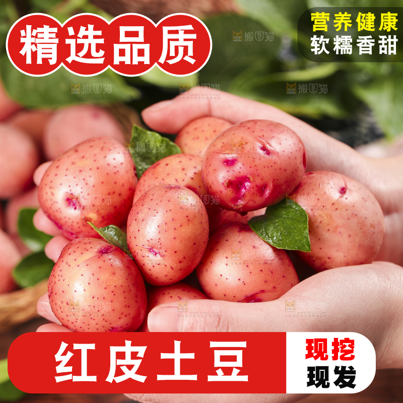 手里捧着红皮土豆