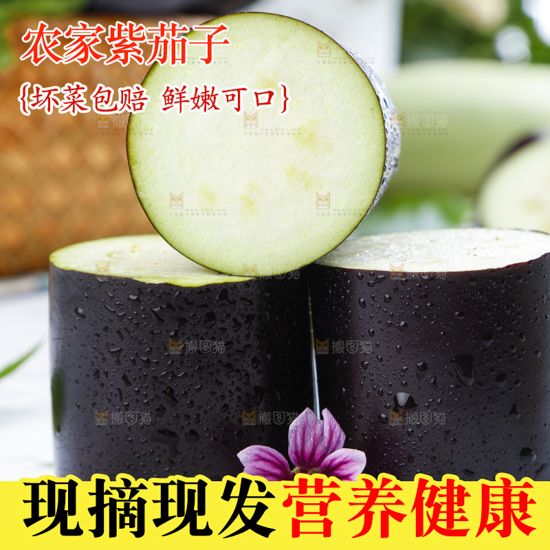 白底上摆放着紫茄子