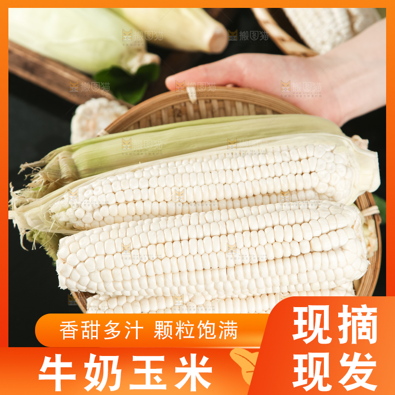 手里拿着白玉米