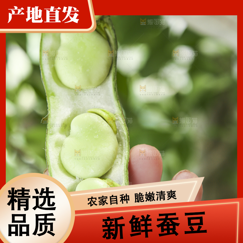手里拿着生蚕豆