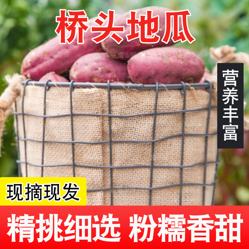篮子里装着红薯