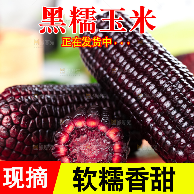 木底上放着山西黑玉米