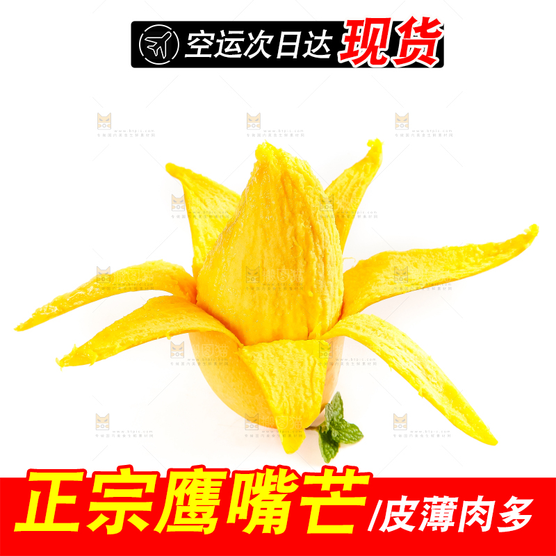 白底上放着云南鹰嘴芒