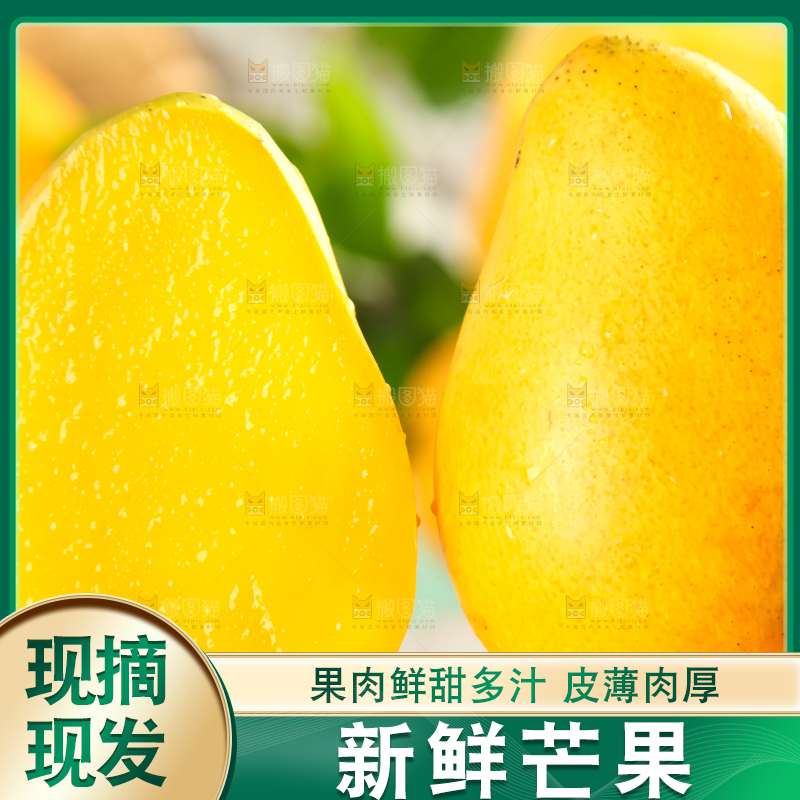 手里端着海南小台农芒果