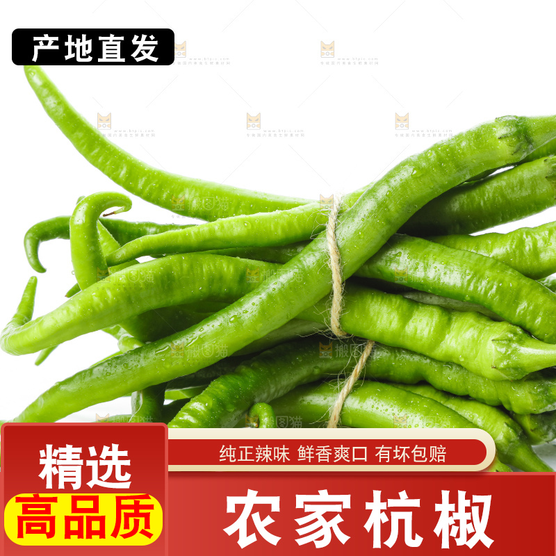 白底上摆放着青尖椒