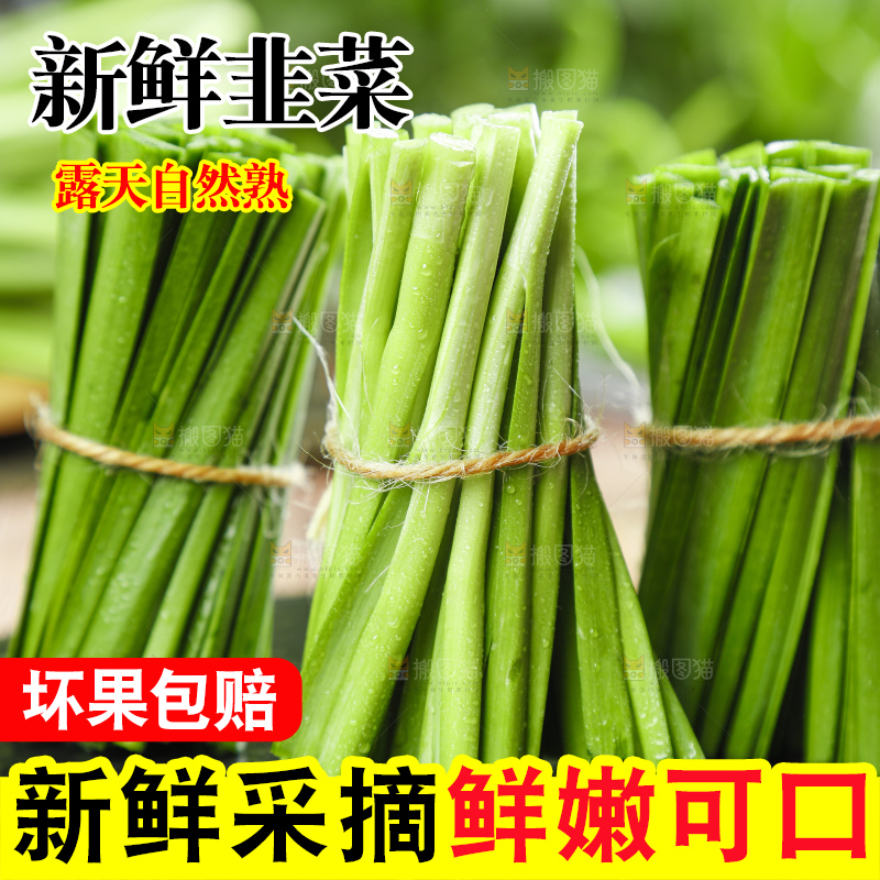 黑石上摆放着嫩韭菜