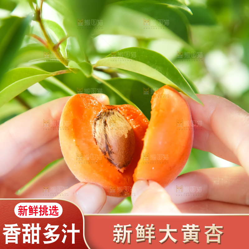 手里拿着杏子
