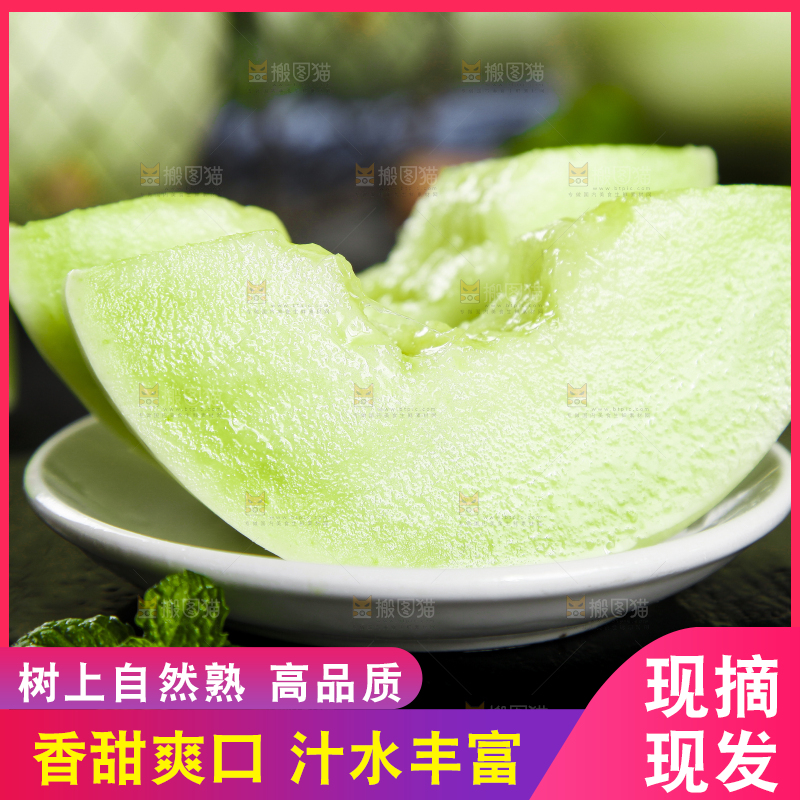 黑底上摆放着山东玉菇甜瓜