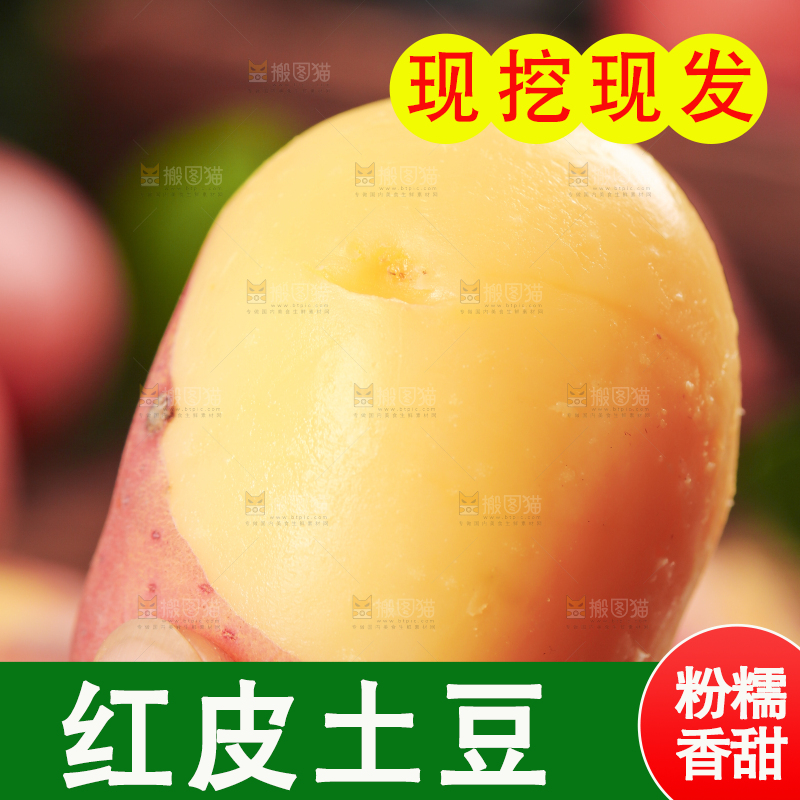手里拿着红皮土豆