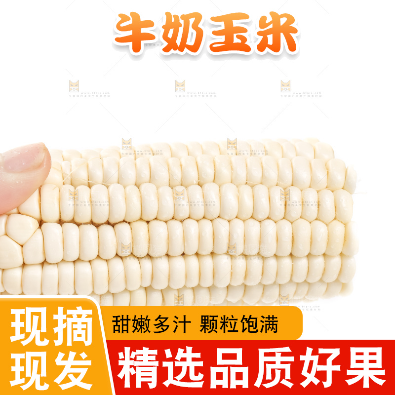 手里拿着玉米棒