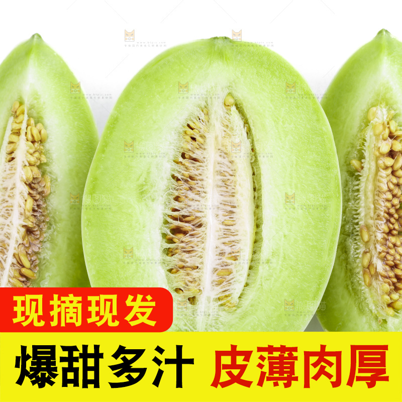 白底上摆放着山东玉菇甜瓜