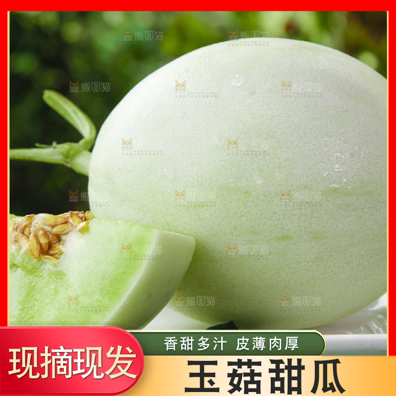 绿草地上摆放着玉菇甜瓜