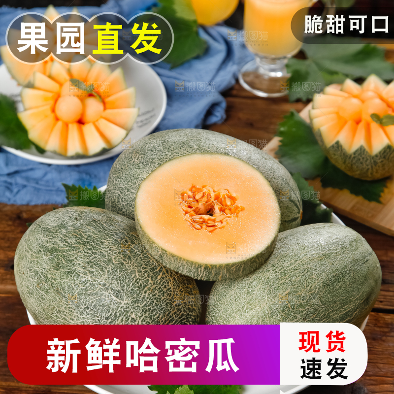 哈密瓜主图