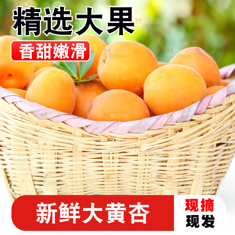 篮子里装着金太阳大黄杏