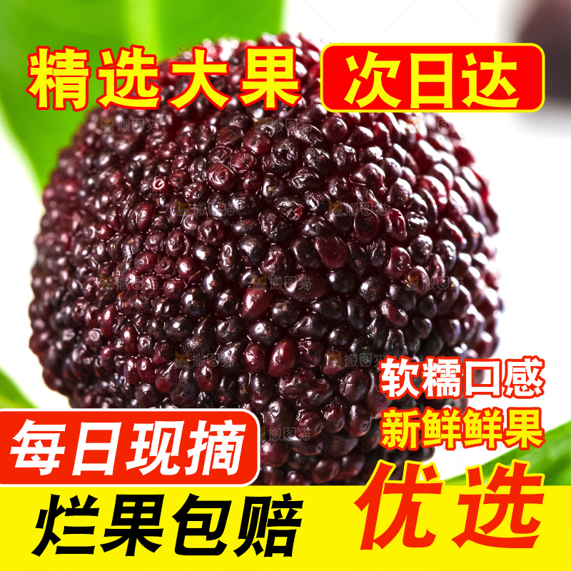 手里拿着杨梅