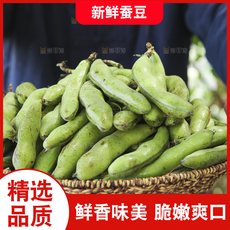 手里端着一篮生蚕豆