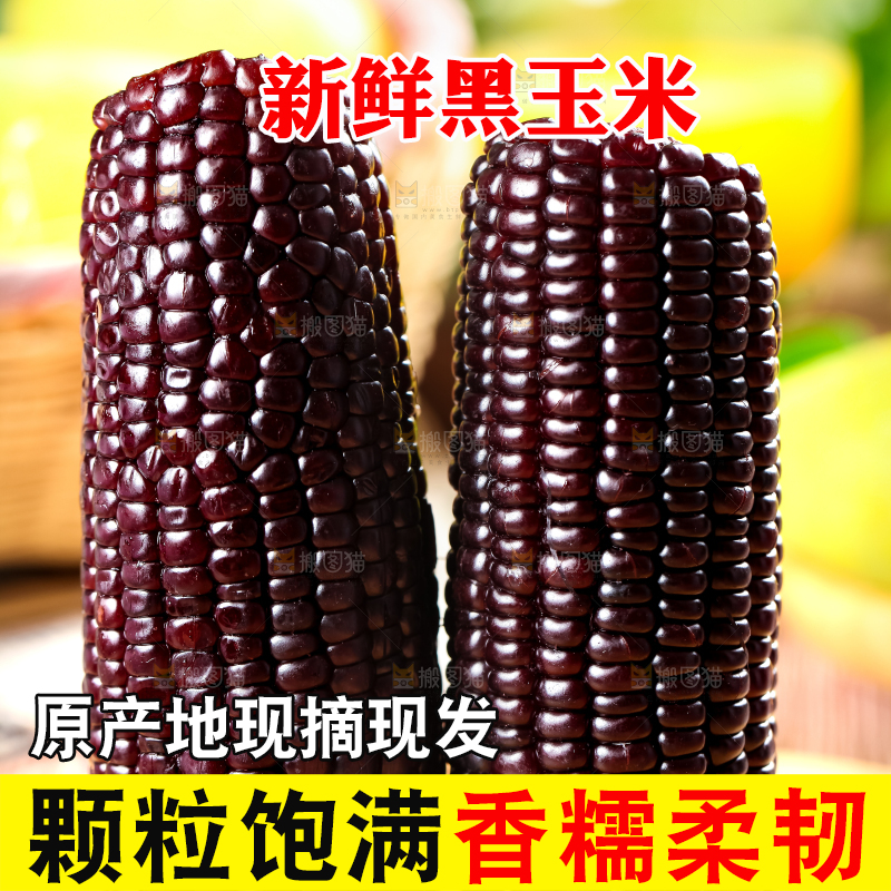 木底上放着黑玉米