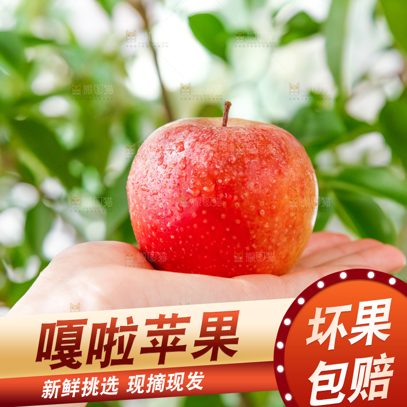 手里拿着嘎啦苹果