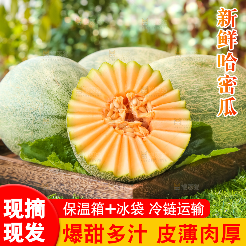 哈密瓜主图