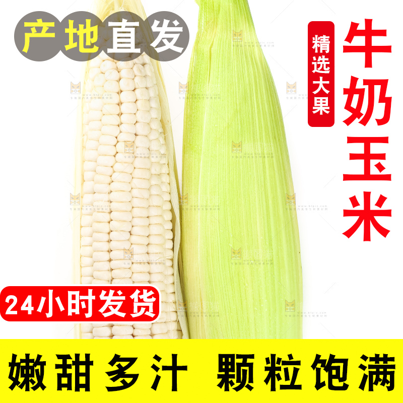 白底上摆放着牛奶水果玉米