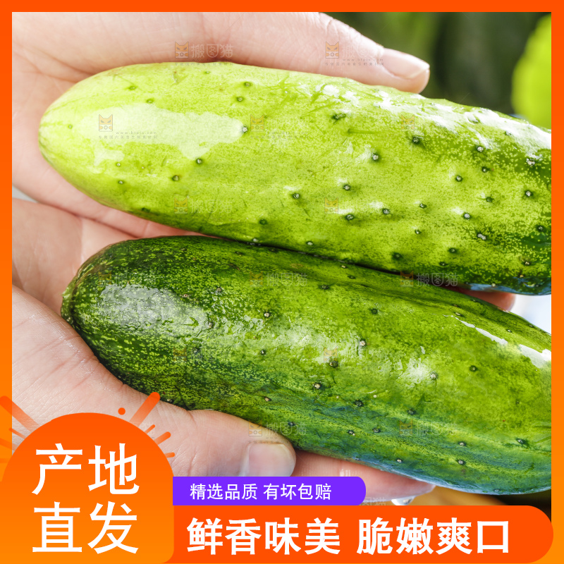 手里拿着黄瓜