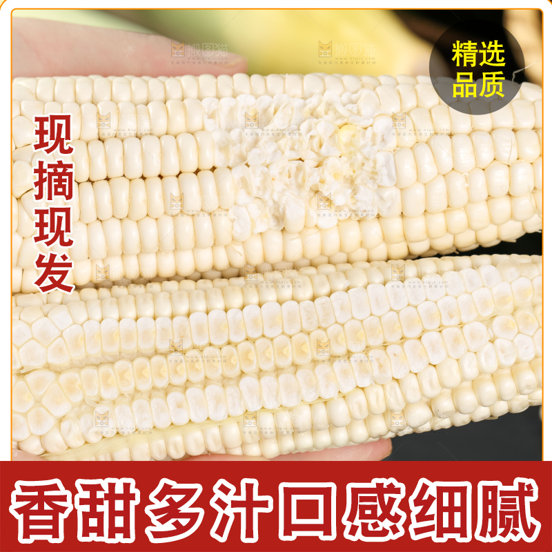 手里拿着甜玉米