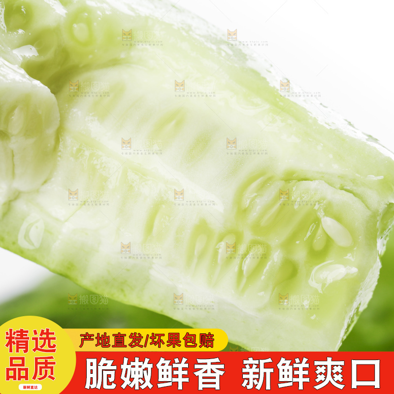 白底上放着刺青瓜