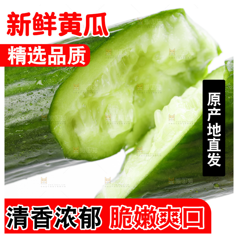 白底上的小黄瓜